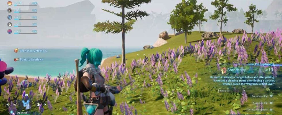 Player looks out over fields of flowers and water in Palworld