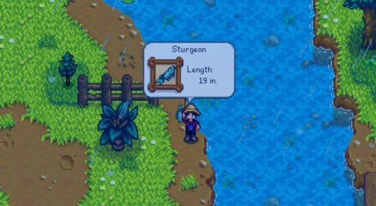 Stardew Valley : Comment attraper un esturgeon