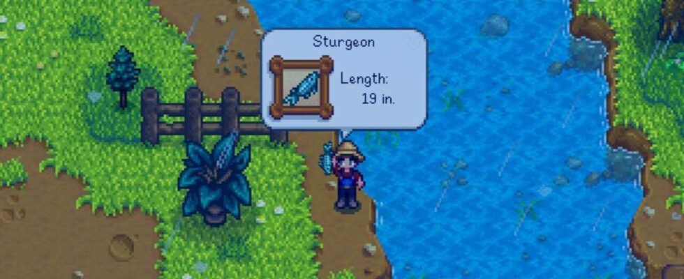 Stardew Valley : Comment attraper un esturgeon