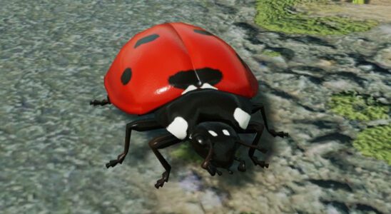 Le premier patch post-lancement du brillant RTS Ant élimine une tonne de bugs