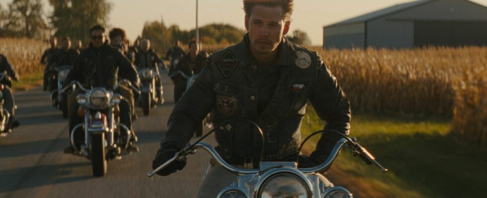 The Bikeriders, Le Royaume de la Planète des Singes et tous les nouveaux films en streaming cette semaine