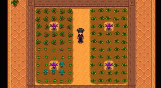 Stardew Valley : Comment débloquer la serre