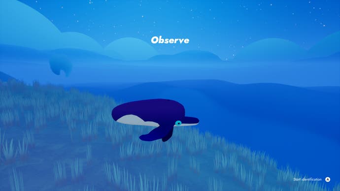 Observation d'une créature ressemblant à une baleine avec un nez de dauphin dans Flock.