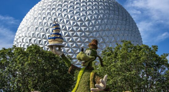 Les fans des parcs Disney n'aiment Epcot que pour la boisson