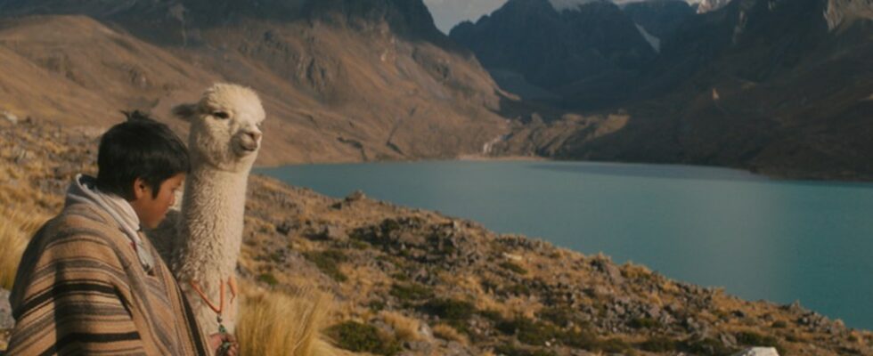 Le 20e Festival international du film Sanfic de Santiago présente 10 titres chiliens Plus de Variety Les plus populaires À lire absolument Inscrivez-vous aux bulletins d'information de Variety Plus de nos marques