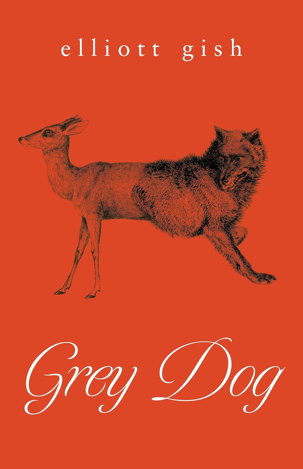 Couverture du livre Grey Dog d'Elliot Gish