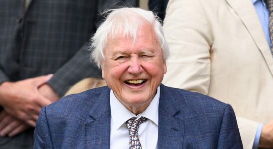 David Attenborough annoncé pour un nouveau projet télévisé, une première dans sa carrière
