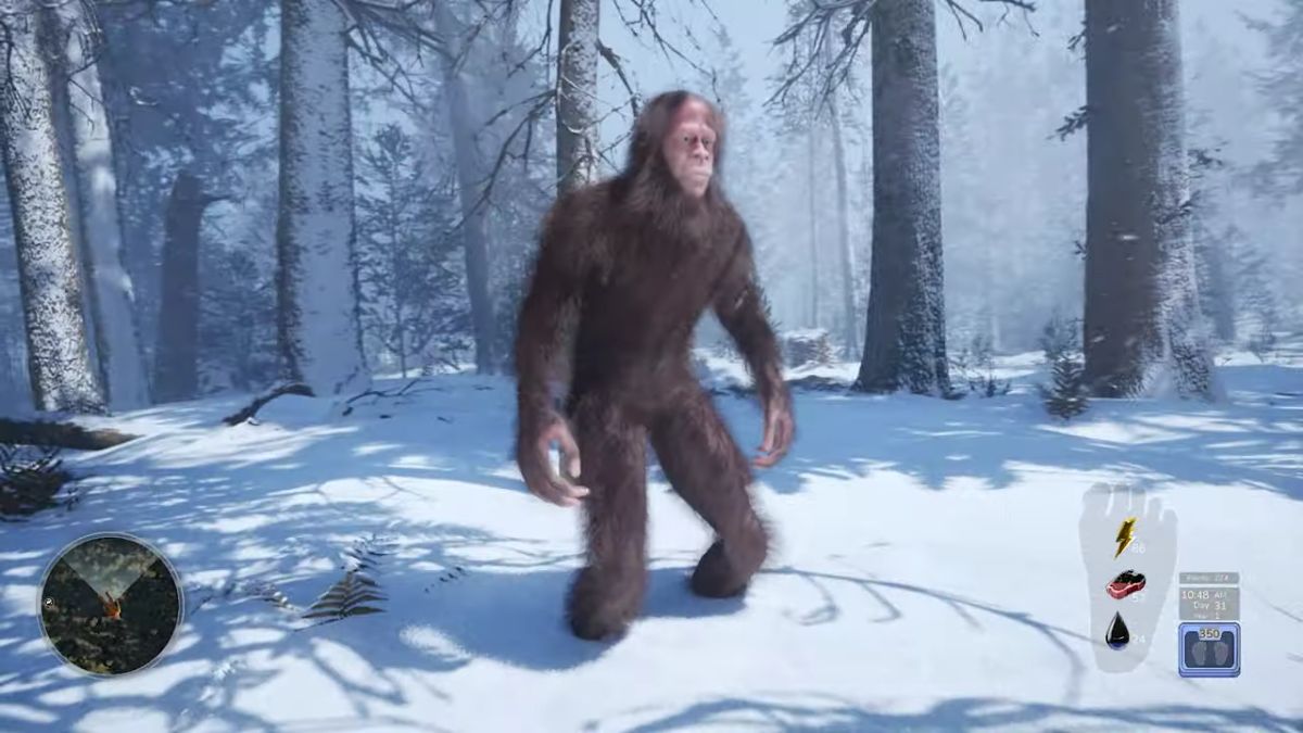 La vie de Bigfoot – dans la forêt pendant un blizzard