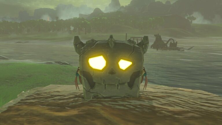 Aléatoire : Nous tuerions un Bokoblin pour obtenir cet étui à cartouche Zelda : BOTW Switch
