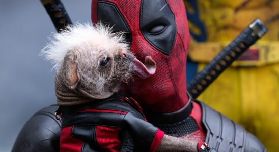 Deadpool et Wolverine consacrent leurs deux scènes de générique à des adieux radicalement différents