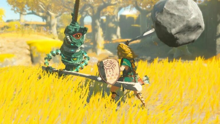 Aléatoire : Après avoir terminé à 100 % Zelda : TOTK, un streamer se lance dans la collecte de chaque pierre
