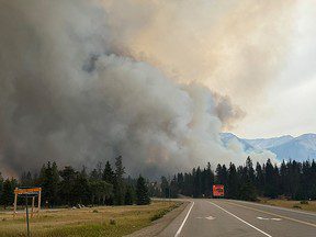 Dans quelle mesure les arbres morts de Jasper, tués par les scolytes, ont-ils alimenté l’incendie de forêt incontrôlable ?