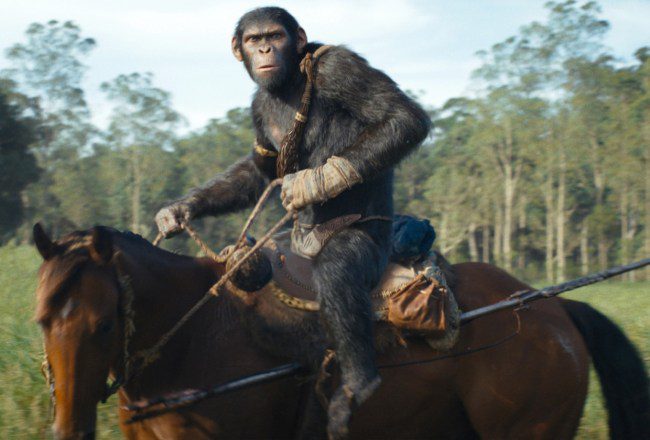 Date de sortie de « Le Royaume de la Planète des Singes » sur Hulu, Owen Teague