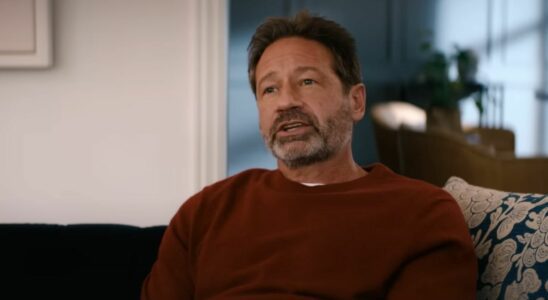 David Duchovny in You People
