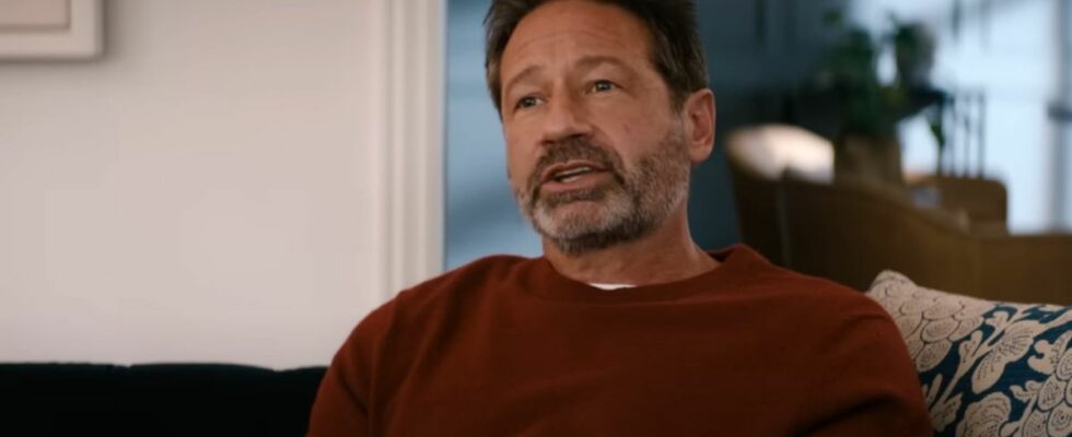 David Duchovny in You People