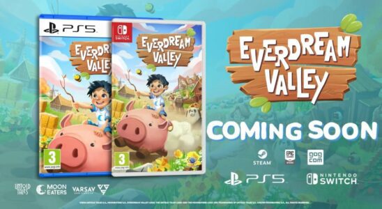 Everdream Valley va bénéficier d'une sortie physique