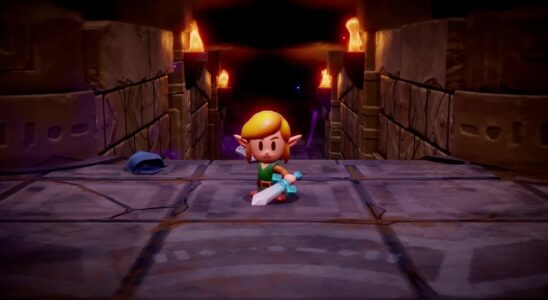Excusez-moi, princesse : Link sera jouable dans Zelda : Echoes of Wisdom