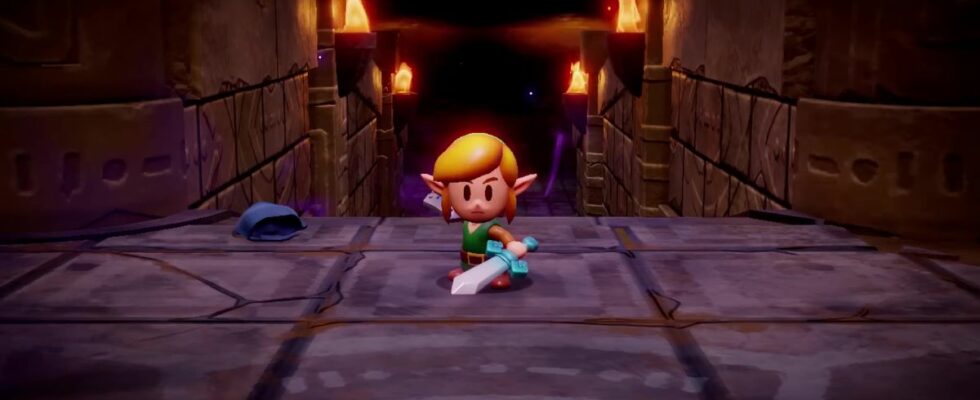 Excusez-moi, princesse : Link sera jouable dans Zelda : Echoes of Wisdom