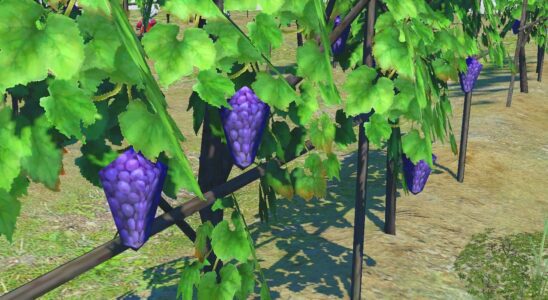 Final Fantasy 14 conserve les célèbres raisins low-poly au milieu de la mise à niveau graphique de Dawntrail