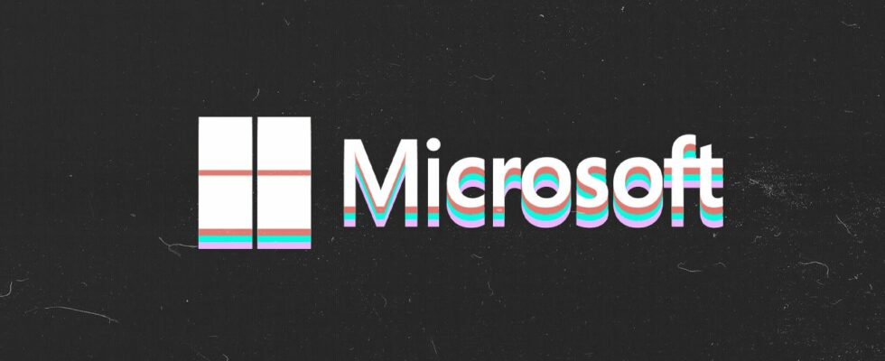 Le responsable DEI de Microsoft fustige l'entreprise dans un courrier électronique interne après que l'équipe aurait été licenciée