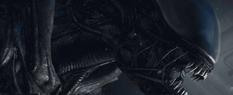 Le showrunner de la série Alien de FX révèle le titre officiel de la série ainsi que la mise à jour de la production