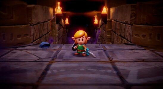 Link sera jouable dans Zelda: Echoes Of Wisdom, selon la nouvelle classification ESRB