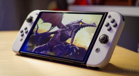 Nintendo intente deux nouvelles poursuites judiciaires pour lutter contre le piratage de la Switch