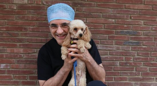 Noel Fitzpatrick, de The Supervet, réagit à l'émouvant « dernier épisode » de la série