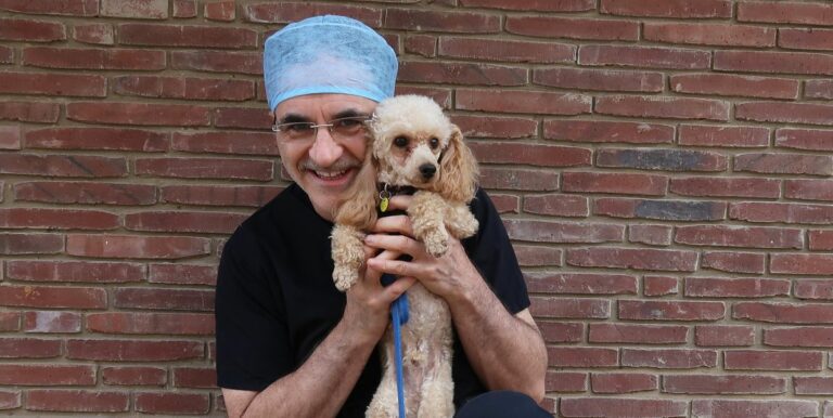 Noel Fitzpatrick, de The Supervet, réagit à l'émouvant « dernier épisode » de la série
