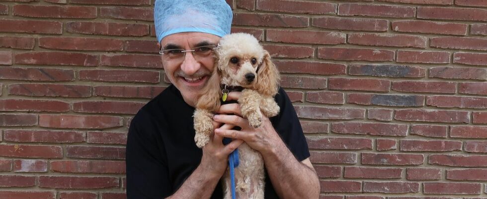 Noel Fitzpatrick, de The Supervet, réagit à l'émouvant « dernier épisode » de la série