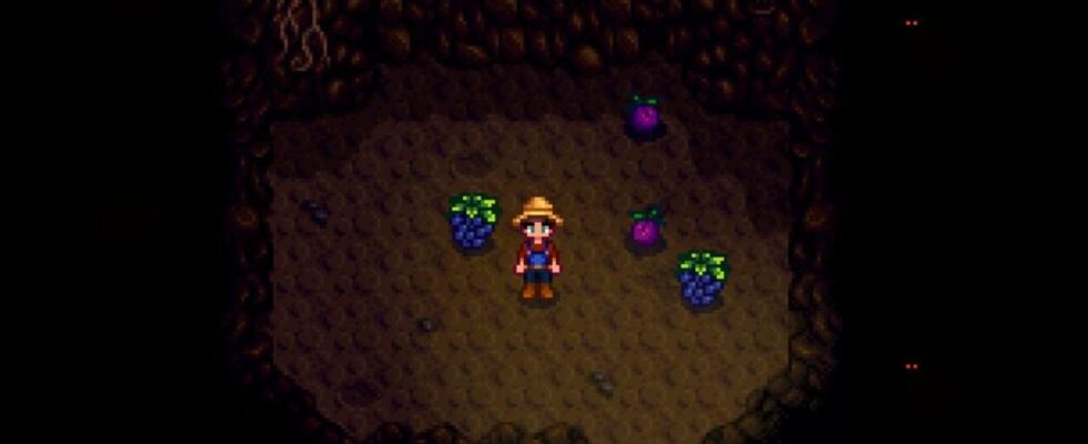 Stardew Valley : Faut-il choisir des chauves-souris ou des champignons pour la grotte ?