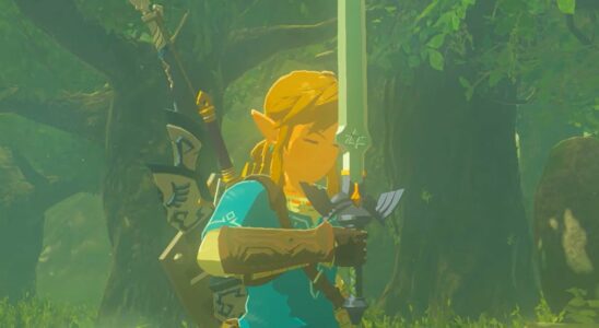 Un fan de la légende de Zelda emprisonné pour avoir porté une Master Sword de 15 cm en public