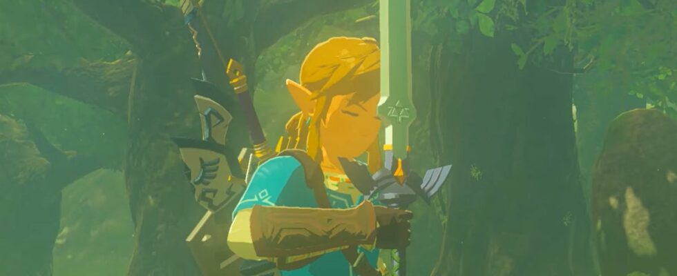 Un fan de la légende de Zelda emprisonné pour avoir porté une Master Sword de 15 cm en public