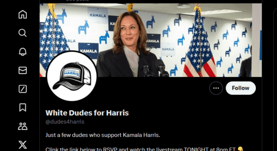 White Dudes for Harris - X - Elon Musk