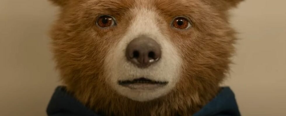 Le teaser américain de Paddington au Pérou présente un changement gênant par rapport à la version britannique, et les fans s'expriment dans les commentaires