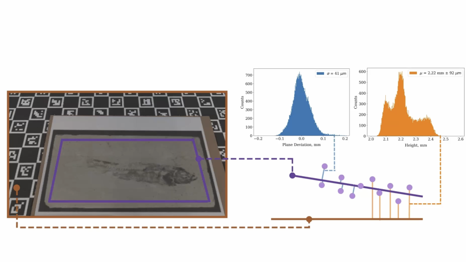 À gauche : un fossile de poisson devant le panneau d'étalonnage d'un scanner. À droite : graphiques montrant l'analyse des données.