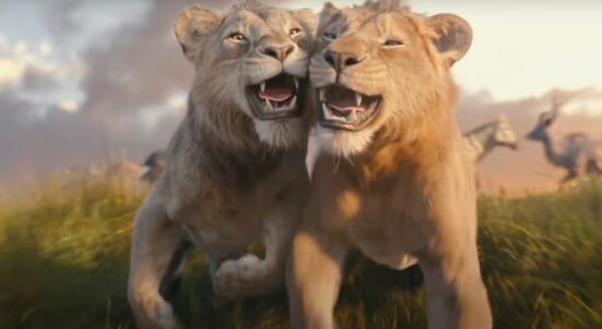 Nouvelle bande-annonce de « Mufasa : Le Roi Lion » : les jeunes Mufasa et Scar passent de frères à ennemis Plus de Variety Les plus populaires À lire absolument Inscrivez-vous aux bulletins d'information de Variety Plus de nos marques