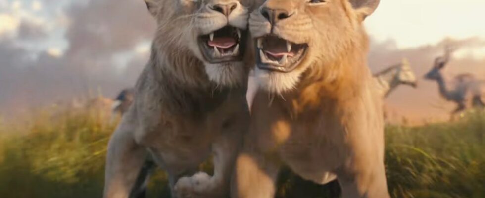 Nouvelle bande-annonce de « Mufasa : Le Roi Lion » : les jeunes Mufasa et Scar passent de frères à ennemis Plus de Variety Les plus populaires À lire absolument Inscrivez-vous aux bulletins d'information de Variety Plus de nos marques