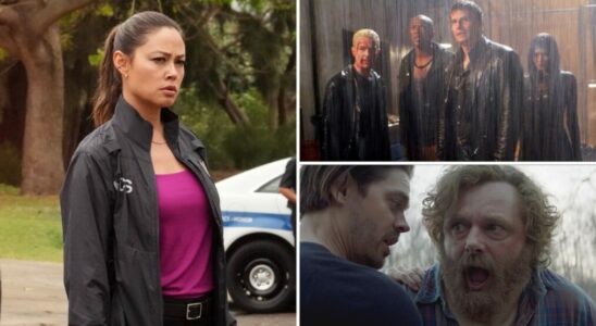 20 séries TV annulées en raison de gros suspense : « Angel », « Prodigal Son », « NCIS : Hawai'i » et plus