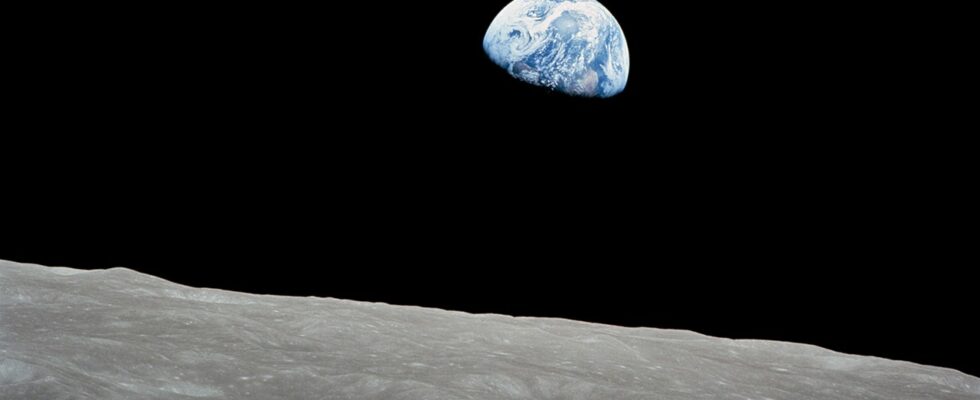 Des scientifiques espèrent préserver la biodiversité de la Terre en l'enfermant dans une arche sur la Lune