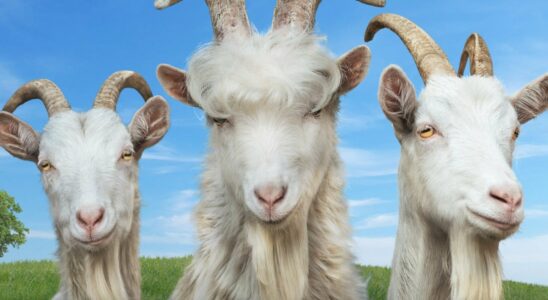 Goat Simulator 3 confirmé pour Switch et disponible dès maintenant