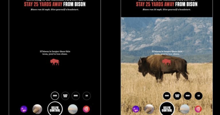 Le nouveau filtre Instagram de Jackson Hole vous avertit lorsque vous êtes dangereusement proche de la faune