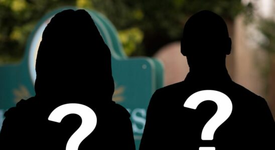 Le patron de Hollyoaks confirme que deux personnages ont survécu à la sélection des acteurs