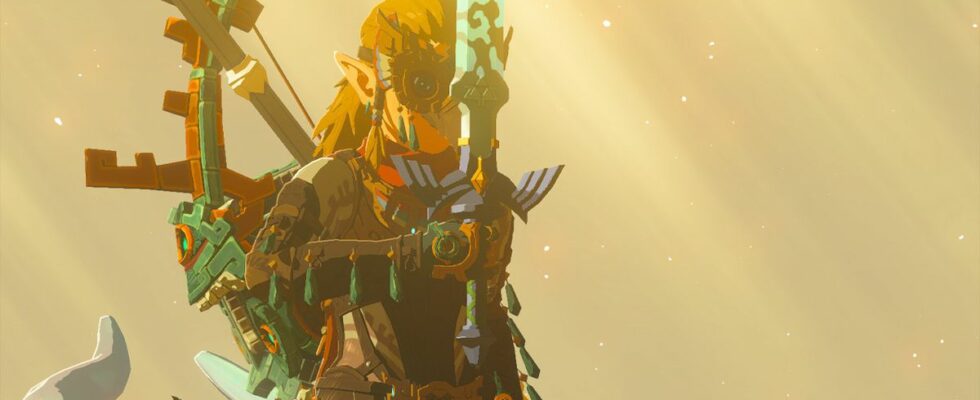 Les joueurs de Zelda : Tears of the Kingdom découvrent un problème compliqué qui se termine par une Master Sword incassable