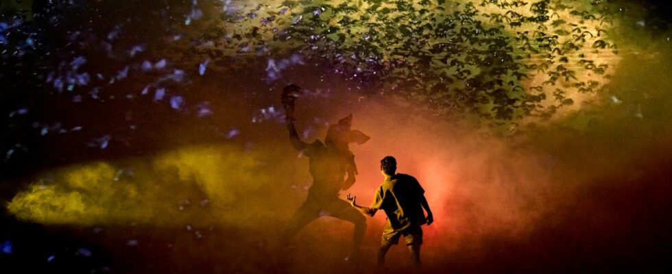 Stranger Things : la première pièce de théâtre d'ombres arrive aux États-Unis