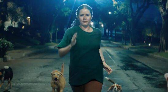 Amy Adams se transforme littéralement en chien dans la bande-annonce de Nightbitch