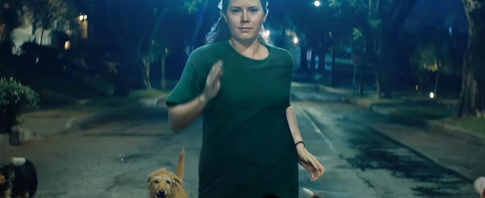 Amy Adams se transforme littéralement en chien dans la bande-annonce de Nightbitch