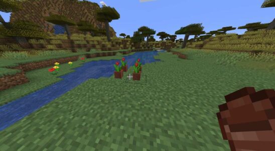 Comment faire un pot de fleurs dans Minecraft