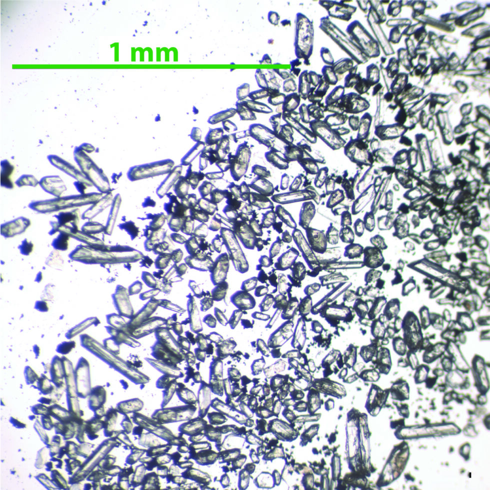 Petites horloges : cristaux de zircon issus de cendres volcaniques tombées dans la mer des Caraïbes au cours du Miocène.