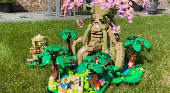 Test : LEGO The Legend Of Zelda - Great Mojo Tree 2-en-1 - Un superbe premier opus avec une petite irritation